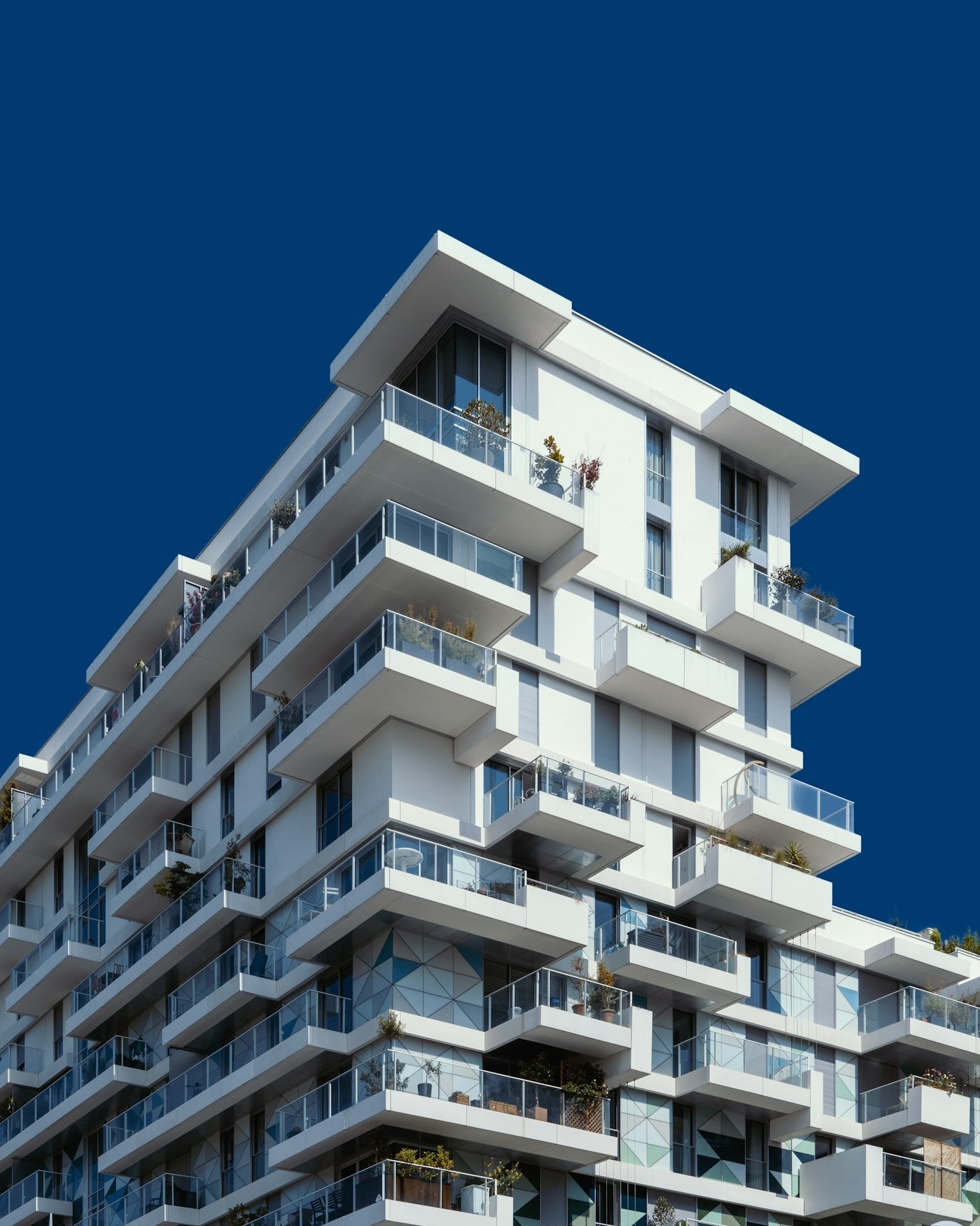 A Guide to Finding the Perfect Rental with Asenka